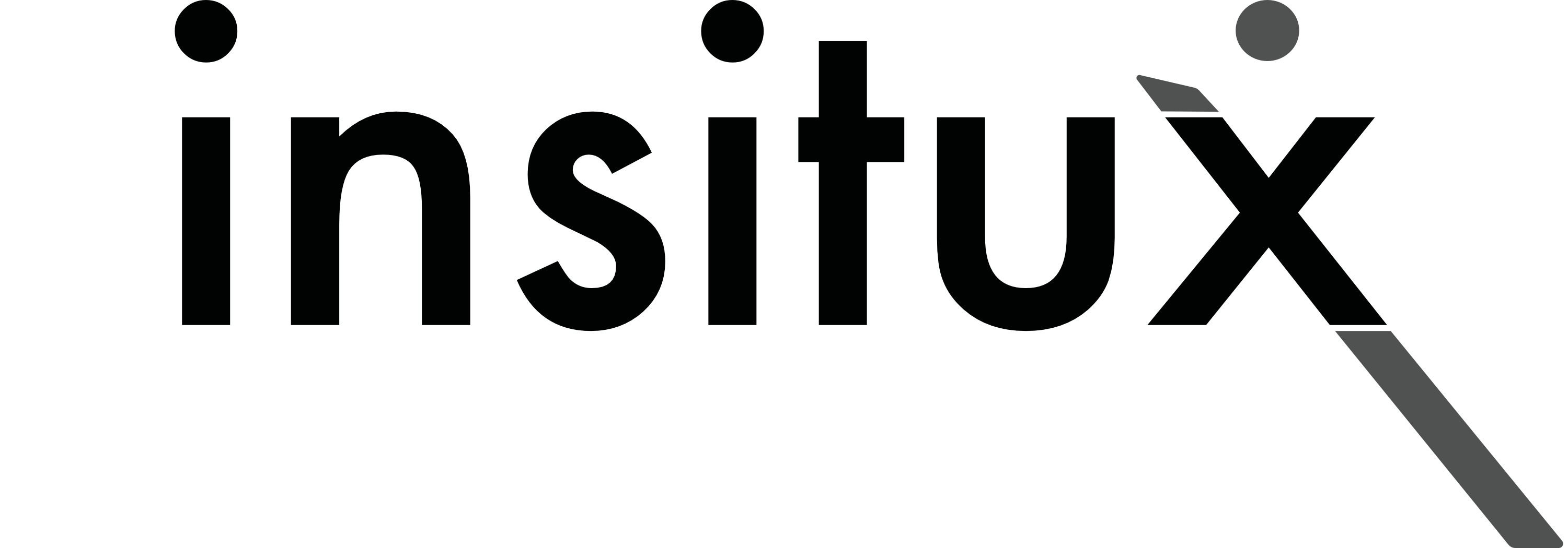 Logo de insitux